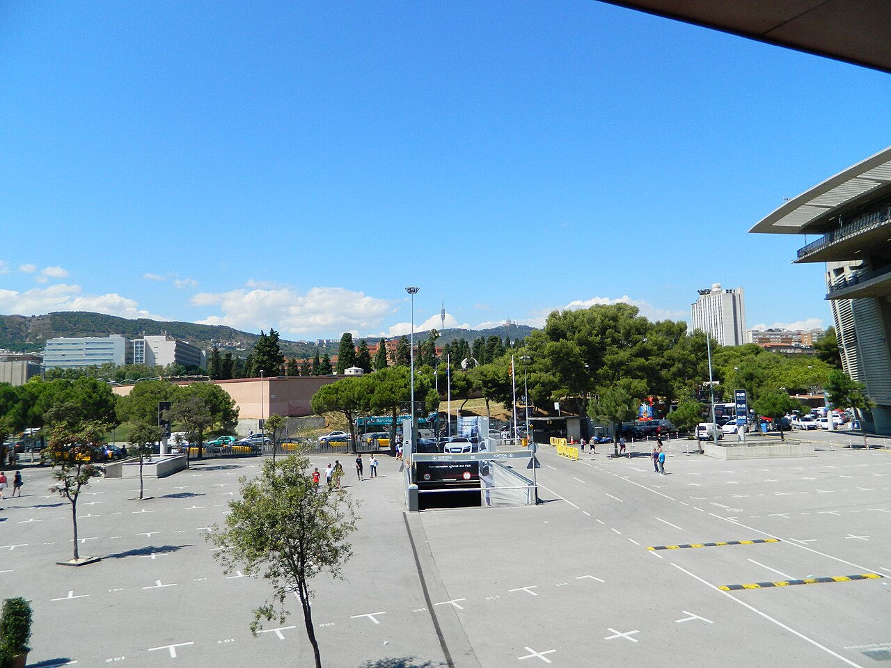 平台公告·球场看台实景